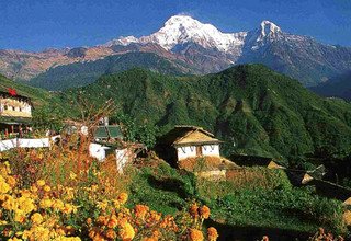 Trek du sanctuaire de l'Annapurna, 14 Jours
