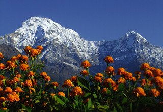 Annapurna Foothills Trek for families, 8 Days
