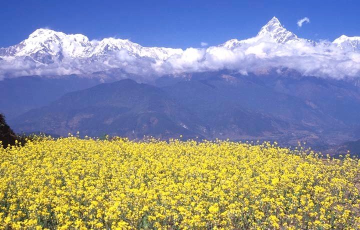 Image result for pokhara valley sightseeing
