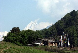 Tamang Heritage Trail, Langtang-Tal, Gosaikund See und Helambu Trekking, 22 Tage