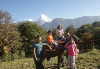Ghorepani-Ghandruk Circuit (Poon Hill) Family Lodge Trek and Chitwan National Park Tour, 11 Days Arriving 21 October to 31 October 2016