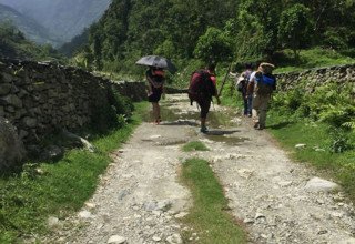 Ghorepani-Ghandruk Circuit (Poon Hill) Family Lodge Trek and Chitwan National Park Tour, 11 Days, from 16 June to 27 June 2016