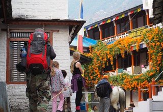 Ghorepani-Ghandruk Circuit (Poon Hill) Family Lodge Tour & Trek, 10 Days, 6 March to 15  March 2016
