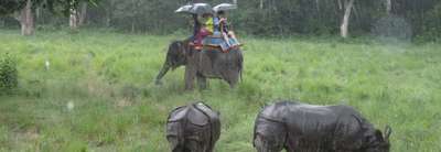 Jetzt buchen Chitwan Nationalpark Tourpaket, 3 Nächte 4 Tage