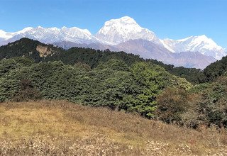 Khopra Ridge Trekking (südlich von Annapurnas), 13 Tage