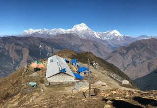 Khopra Ridge Trekking (südlich von Annapurnas), 13 Tage