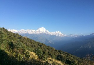 Annapurna Poon Hill Trek kombiniert mit Mohare Danda, 9 Tage
