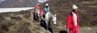 Jetzt buchen Pferdetrekking ins Langtang Tal (mit oder ohne Kinder), 11 Tage