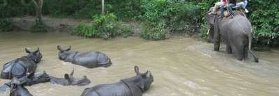 Book this Trip White Water Rafting and Chitwan National Park Tour, 3 Nights 4 Days