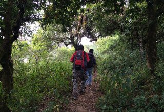 Chepang-Hill Trek mit Chitwan Tour, 12 Tage
