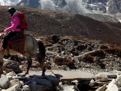Horseback Riding Trek to Everest Base Camp: Everything you need to know the epic journey