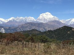 Mohare Danda Community Eco-Trail Trek for Families