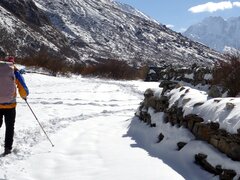 Trekking in Langtang Region