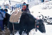 Trek du lac Gokyo et du camp de base de l'Everest, 18 Jours