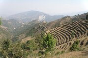 Helambu Heritage Circuit Lodge Trek, 9 Days