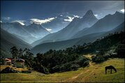 Pferdetrekking zum Everest Panorama (mit oder ohne Kinder), 10 Tage