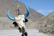 Königreich Mustang Trekking, 16 Tage