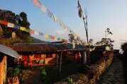 Panchase Trekking, 8 Tage