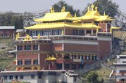 Buddhist Pilgrimage Tour to Namobuddha and Lumbini 9 Days Including 1 night 2 Days Jungle Safari in Chitwan National Park