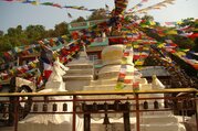 Buddhist Pilgrimage Tour to Namobuddha and Lumbini 9 Days Including 1 night 2 Days Jungle Safari in Chitwan National Park