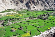 Humla Changla Valley Camping Trek, 24 Tage