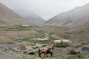 Humla Changla Valley Camping Trek, 24 Tage