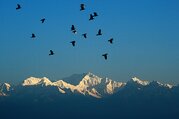 Kanchenjunga Basislager Trekking, 24 Tage
