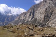 Vallée de Nar-Phu et lac de Tilicho Trekking, 18 Jours