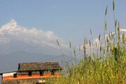 Panchase Trekking, 8 Tage