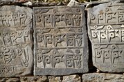 Pferdetrekking zum Everest Panorama (mit oder ohne Kinder), 10 Tage