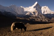 Everest Mani Rimdu Fest Trekking, 12 Tage 