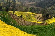 Hiking to Nagarkot, 2 Days