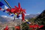 Gosaikunda See und Helambu Trek über den Lauribinayak-La Pass, 10 Tage