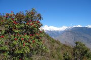 Gosaikunda See und Helambu Trek über den Lauribinayak-La Pass, 10 Tage
