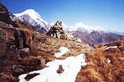 Besteigung des Mardi Himal | Mardi Himal Gipfel 5553m | 19 Tage