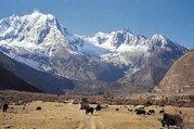 Besteigung des Mardi Himal | Mardi Himal Gipfel 5553m | 19 Tage