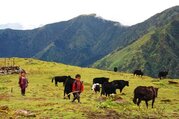 Numbur Cheese Circuit Trek, 14 Tage