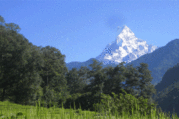 Machhapuchhre Modèle Trekking, 8 Jours