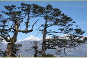 Great Himalaya Trail - Everest nach Rolwaling Region, 40 Tage