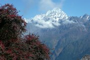 Circuit de l'héritage Tamang, vallée du Langtang, lac Gosaikund et Helambu Trek, 20 Jours