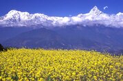 Sarangkot Sunrise & Sunset View Tour inklusive einer Stunde Paragliding 7 Tage