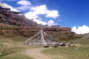 Saga Dawa Festival Tour | Tibet-Mount Kailash Trekking - Guaranteed Departure 2027