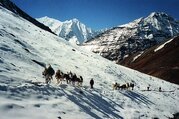 Great Himalaya Trail - Dolpo to Mugu Region, 34 Days