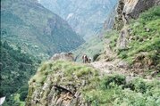 Great Himalaya Trail - Mugu nach Humla Region, 30 Tage