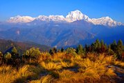 Annapurna Panorama View Trek, 10 Days