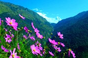 Annapurna Panorama View Trek, 10 Days