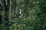 Bardia National Park Tour Packages, 3 Nights 4 Days