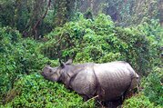 Bardia National Park Tour Packages, 3 Nights 4 Days