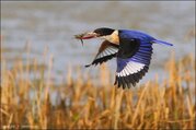 Bardia National Park Tour Packages, 3 Nights 4 Days