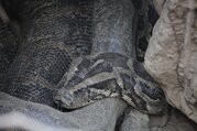 Bardia National Park Tour Packages, 3 Nights 4 Days